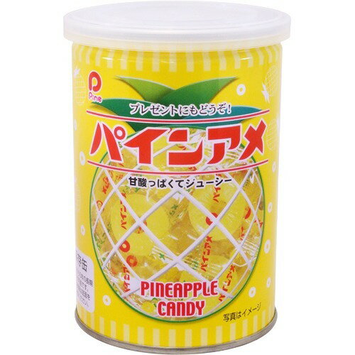 【楽天市場】パイン パイン パインアメ 保存缶(90g) | 価格比較 - 商品価格ナビ