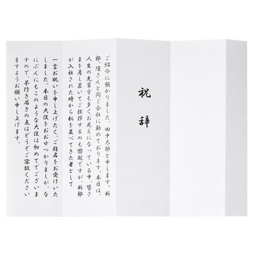 マルアイ 式辞用紙 A4サイズ 奉書風 GP-シシA4