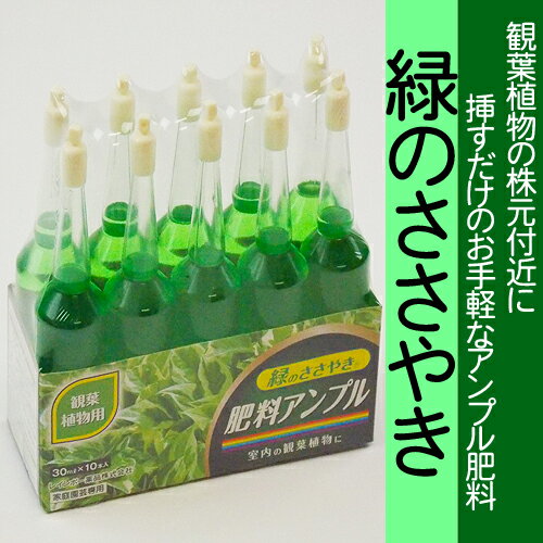 楽天市場 レインボー薬品 レインボー 緑のささやき観葉植物用 30ml 10 価格比較 商品価格ナビ