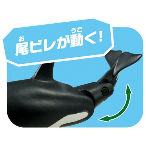 【楽天市場】タカラトミー アニア AL-08 シャチ親子 (水に浮くVer.)(1セット) | 価格比較 - 商品価格ナビ