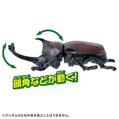 楽天市場】タカラトミー アニアくじ 6 森林の王者 昆虫