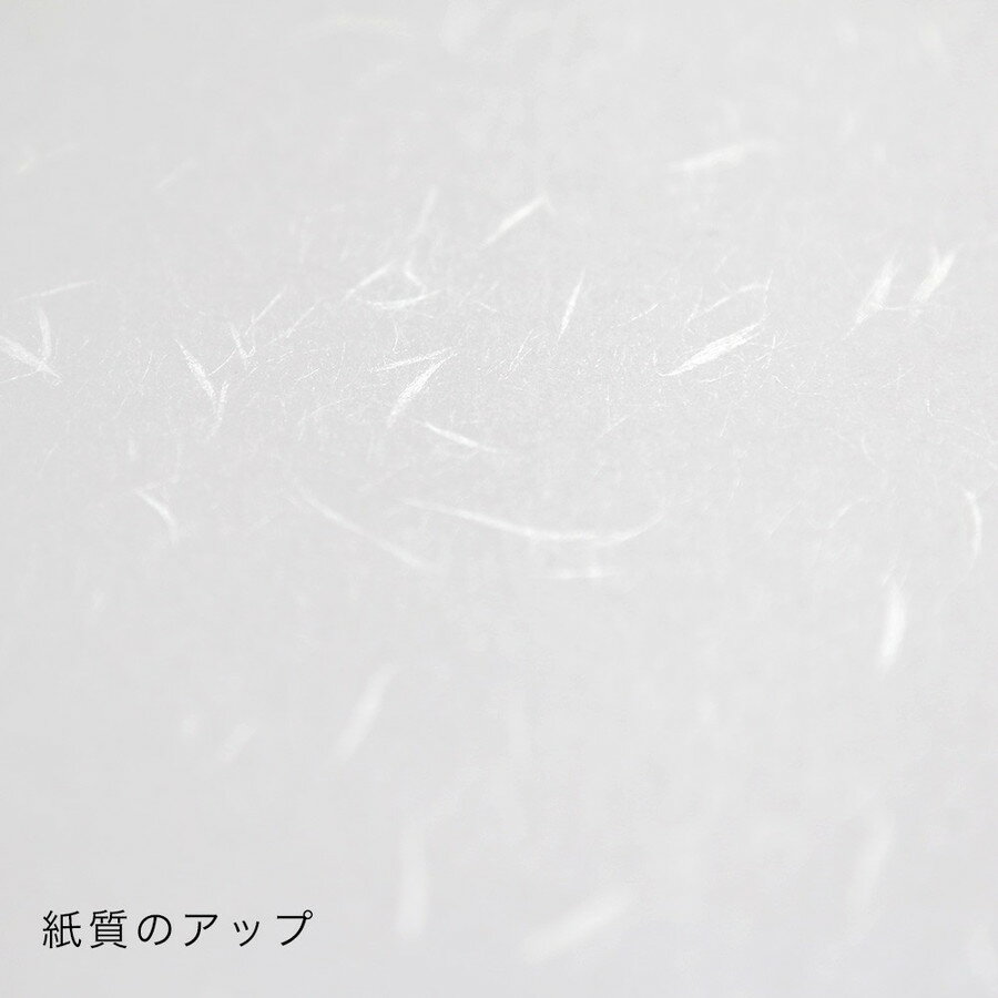 大直 大直礼状紙 A5 100枚入