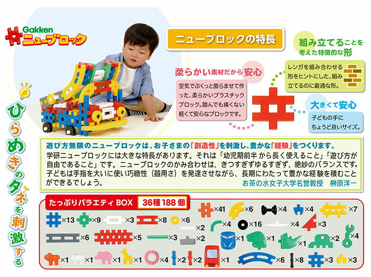 Gakkenニューブロック たっぷりバラエティBOX(1個)