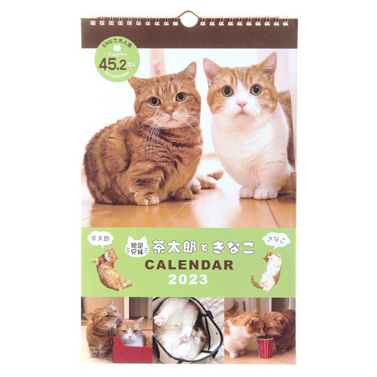 破格値下げ】 壁掛けカレンダー2024年 CATマンスリー 2024 Calendar アクティブコーポレーション スケジュール