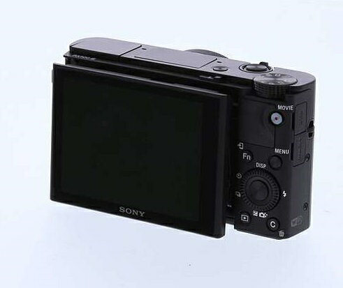 SONY - ☆Daiuchuusan様専用☆SONY RX DSC-RX100M3の+spbgp44.ru