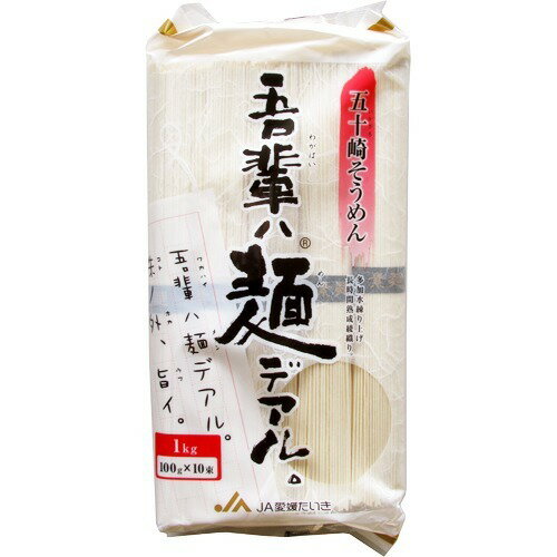 楽天市場】愛媛たいき農業協同組合 吾輩ハ麺デアル 五十崎うどん(100g*10束) | 価格比較 - 商品価格ナビ