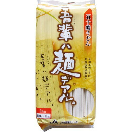 楽天市場】愛媛たいき農業協同組合 吾輩ハ麺デアル 五十崎うどん(100g*10束) | 価格比較 - 商品価格ナビ