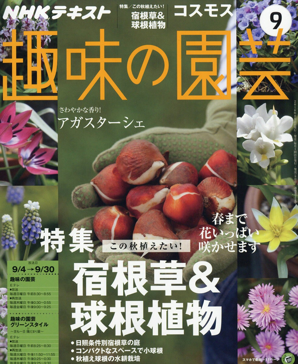 楽天市場 Nhk 趣味の園芸 16年 09月号 雑誌 Nhk出版 価格比較 商品価格ナビ