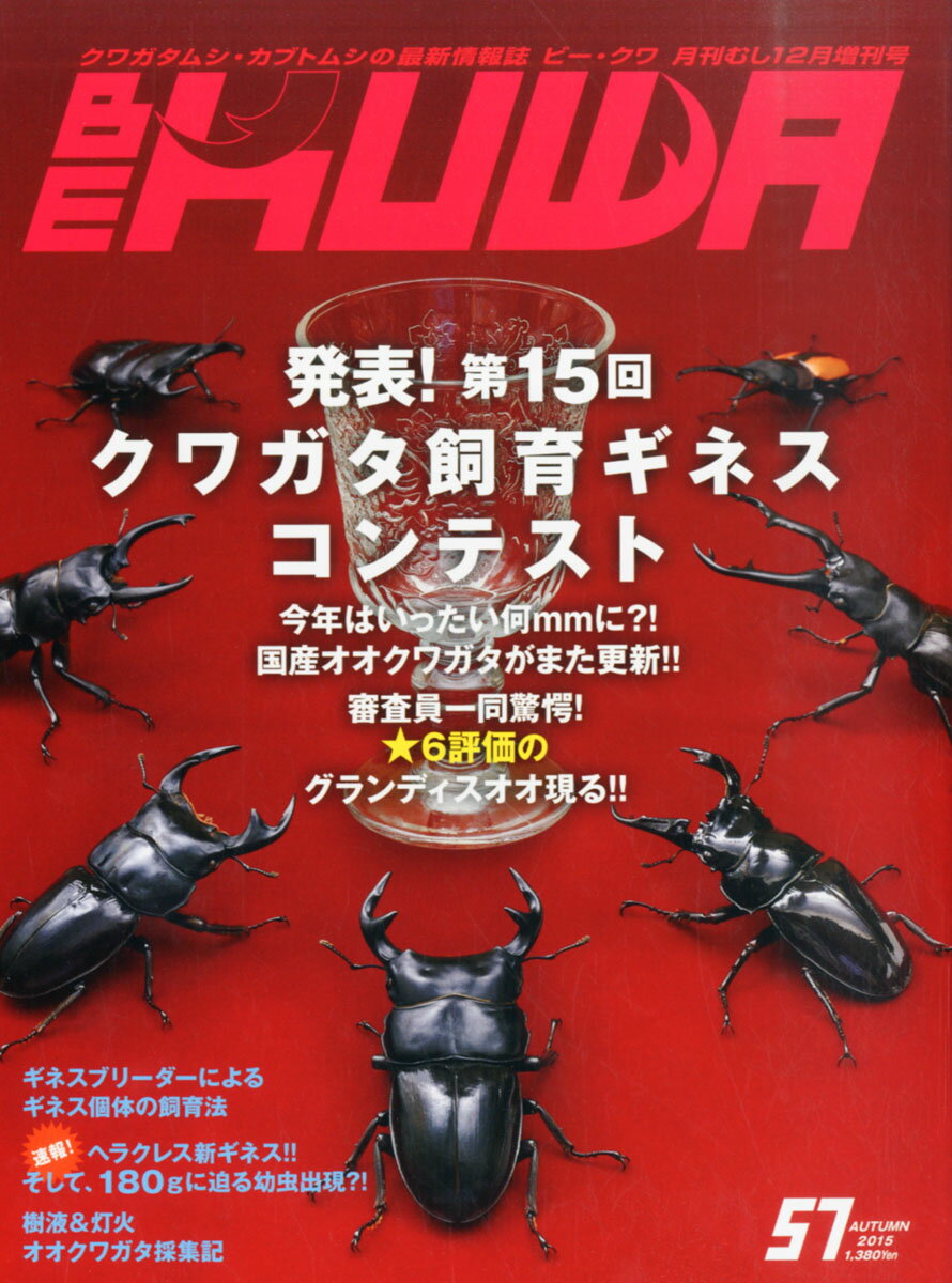 BE KUWA 21号〜29号 - 趣味/スポーツ/実用