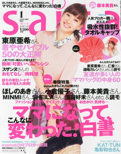 saita (サイタ) 2013年 01月号 [雑誌]/セブン&アイ出版