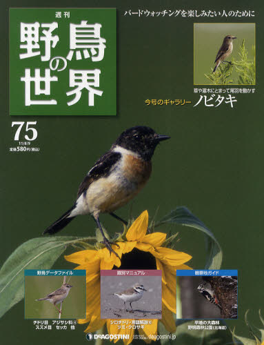 野鳥の世界 96冊セット 楽天市場】週刊野鳥の世界全国版 | 価格比較 - 商品価格ナビ