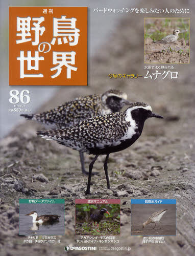 楽天市場】週刊野鳥の世界全国版 | 価格比較 - 商品価格ナビ