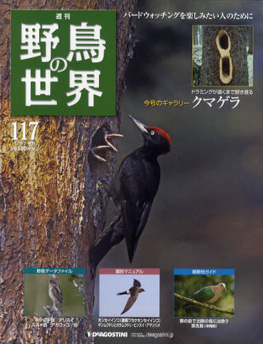 楽天市場】週刊野鳥の世界全国版 | 価格比較 - 商品価格ナビ