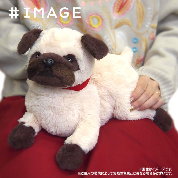 楽天市場】サンレモン ひざわんこ パグ BE | 価格比較 - 商品