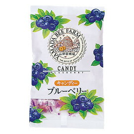 楽天市場 山田養蜂場 山田養蜂場 ブルーベリーキャンディー 100g 価格比較 商品価格ナビ