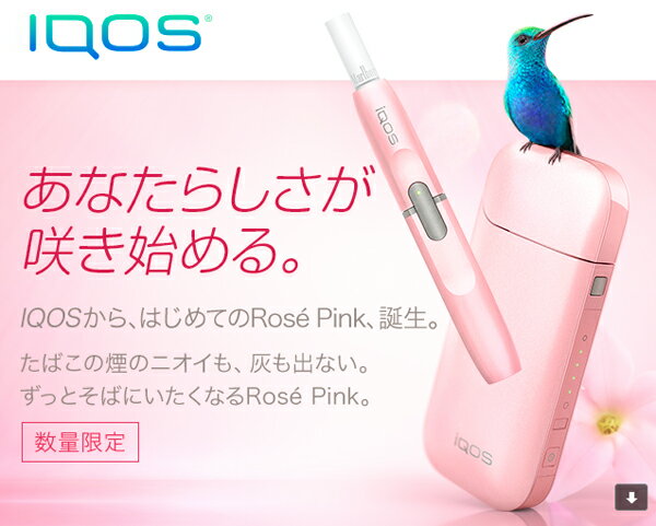 楽天市場 フィリップ モリス ジャパン 同 アイコス ローズピンク Iqos Rose Pink 本体キット 電子タバコ 価格比較 商品価格ナビ