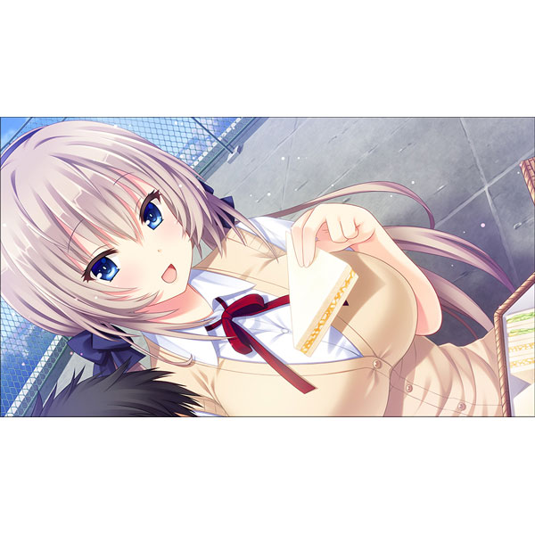 しあわせと影 AmiAmi [Character & Hobby Shop]