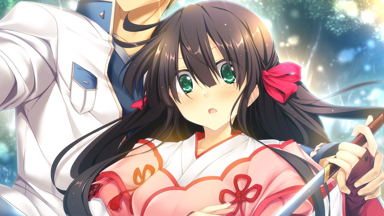 新品・未開封　戦国恋姫~乙女絢爛☆戦国絵巻~ 豪華絢爛出陣セット Switch 61IPFTuB0mL._UF894,1000_QL80_.jpg