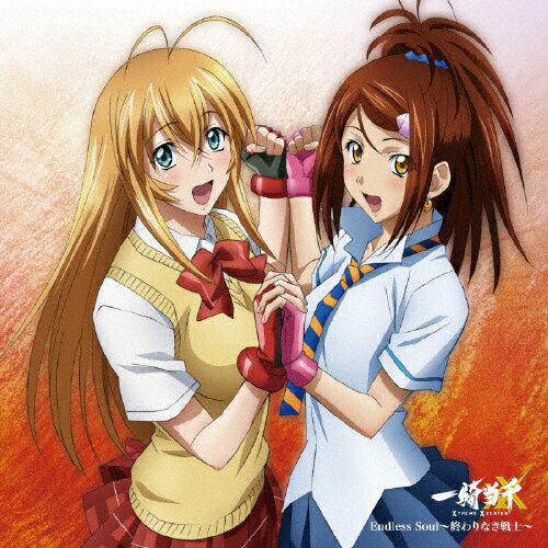 Endless　Soul～終わりなき戦士～/ＣＤシングル（１２ｃｍ）/ZMCZ-5538