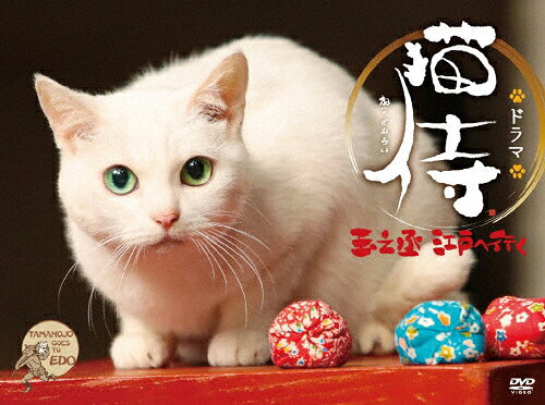 楽天市場 Kadokawa スペシャルドラマ 猫侍 玉之丞 江戸へ行く ｄｖｄ Zmbh 価格比較 商品価格ナビ