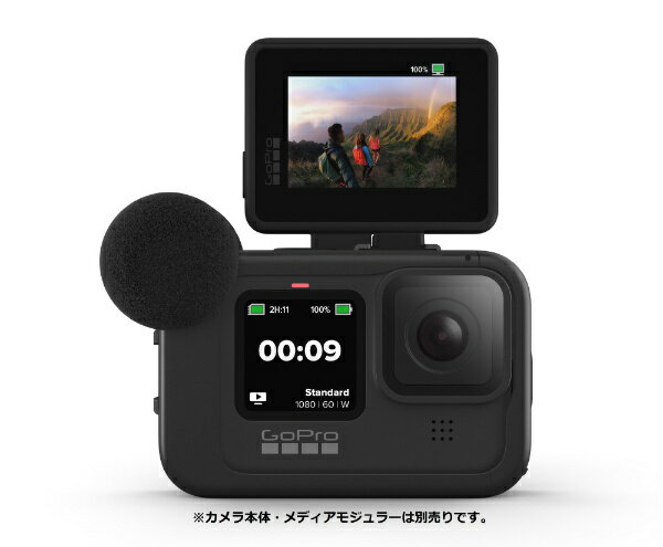 楽天市場】タジマモーターコーポレーション GoPro ディスプレイモジュラー AJLCD-001-AS | 価格比較 - 商品価格ナビ