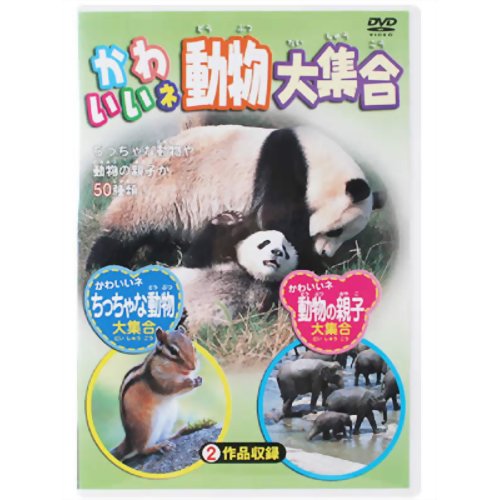 楽天市場 ピーエスジー かわいいネ どうぶつ大集合 ｄｖｄ Pzd 2 価格比較 商品価格ナビ
