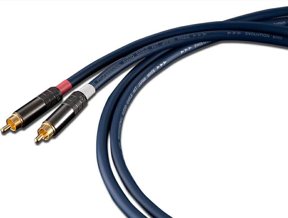 2176円 本命ギフト AET エーイーティー アースケーブル 1.5m EVO-EW125Y55-1.5 2176円 本命ギフト AET エーイーティー アースケーブル 1.5m EVO-EW125Y55-1.5
