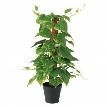 楽天市場 東北花材 東北花材 Toka 人工樹木 ポトスヘゴポット 価格比較 商品価格ナビ