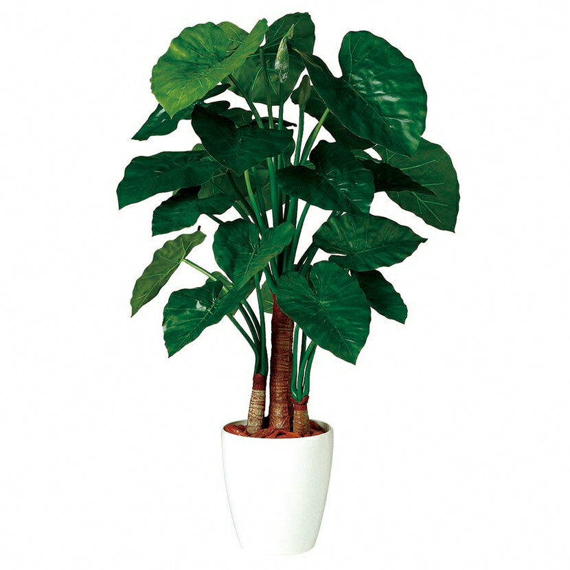 楽天市場 東北花材 クワズイモ トリプル 130 器タイプ Rp 265 969 造花 人工樹木 観葉植物 カ コ クワズイモ 新品 価格比較 商品価格ナビ