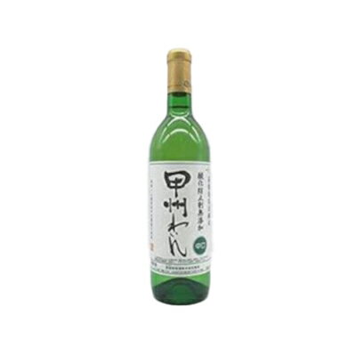 蒼龍葡萄酒 酸化防止剤無添加 ブルーベリーワイン 720ml瓶 その他 | kyoko-co.com