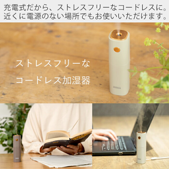 PRISMATE ちょこっとミスト ライトベージュ PR-HF053-LB