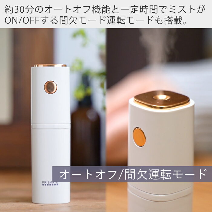 PRISMATE ちょこっとミスト ライトベージュ PR-HF053-LB