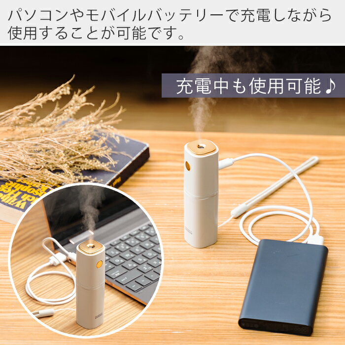 PRISMATE ちょこっとミスト ライトベージュ PR-HF053-LB