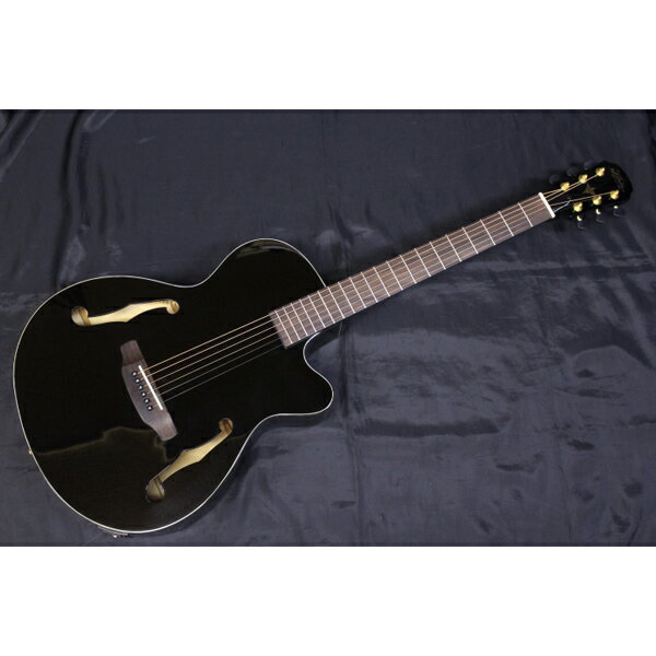 楽天市場】荒井貿易 ARIA 101CE MTN Cutaway Electric リッターケース ...