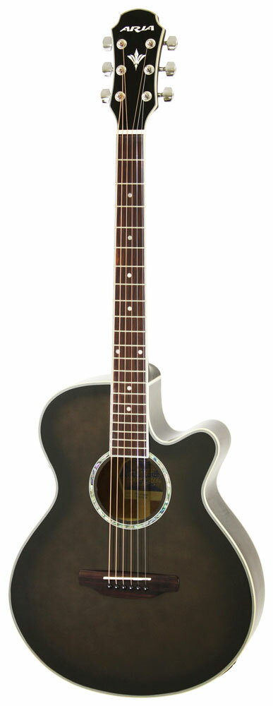 楽天市場】荒井貿易 ARIA 101CE MTN Cutaway Electric リッターケース ...