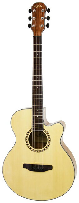 美品【トランスギター】ARIA TG-1 N エレアコ【ソフトケース付き】 輝く高品質な | N TG-1 TG Inc. Co., & Arai 荒井貿易株式会社