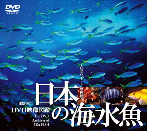 楽天市場 シンフォレスト 日本の海水魚 Dvd映像図鑑 ｄｖｄ Sda 26 価格比較 商品価格ナビ