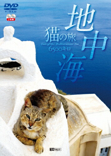 楽天市場 シンフォレスト 地中海 猫の旅6500キロ Cats Of The Mediterranean Sea ｄｖｄ Sda 81 価格比較 商品価格ナビ