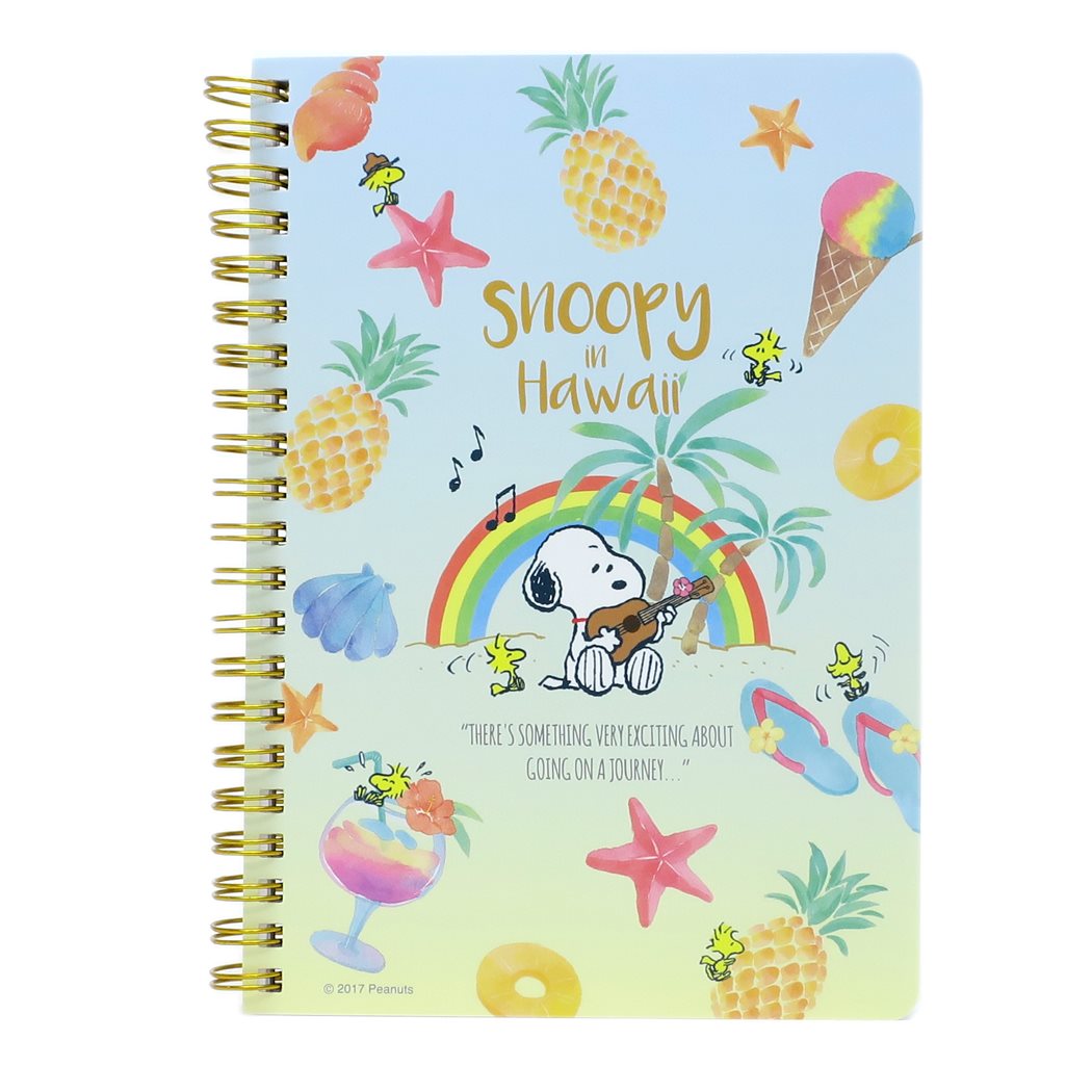 楽天市場 スヌーピー ノート B6リングノート レインボー ピーナッツ デルフィーノ 紙製品 ステーショナリー 価格比較 商品価格ナビ