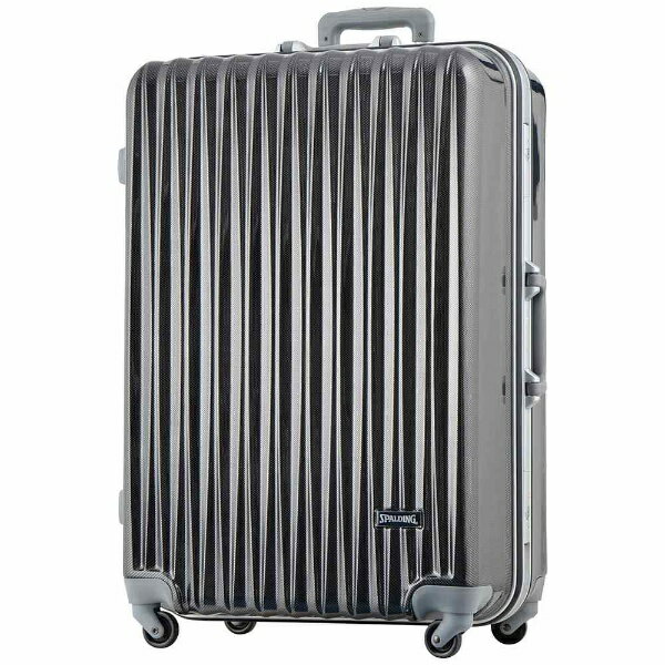 【楽天市場】ロジェールジャパン SPALDING スーツケース 110L SP-0707-74 ブラックカーボン | 価格比較 - 商品価格ナビ