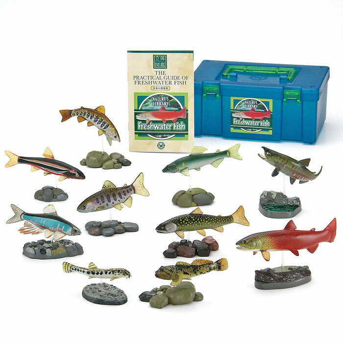 限定特価 カルダー TOY 絶盤 魚 fish agapeeurope.org