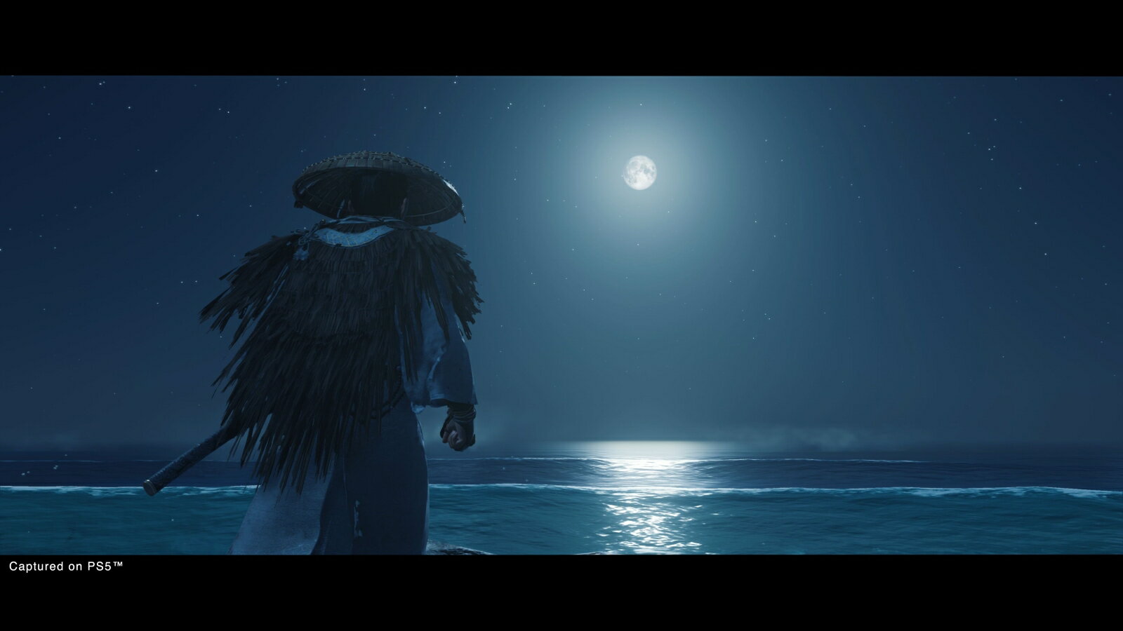 Ghost of Tsushima Director's Cut/PS4/PCJS66083/【CEROレーティング「Z」（18歳以上のみ対象）】