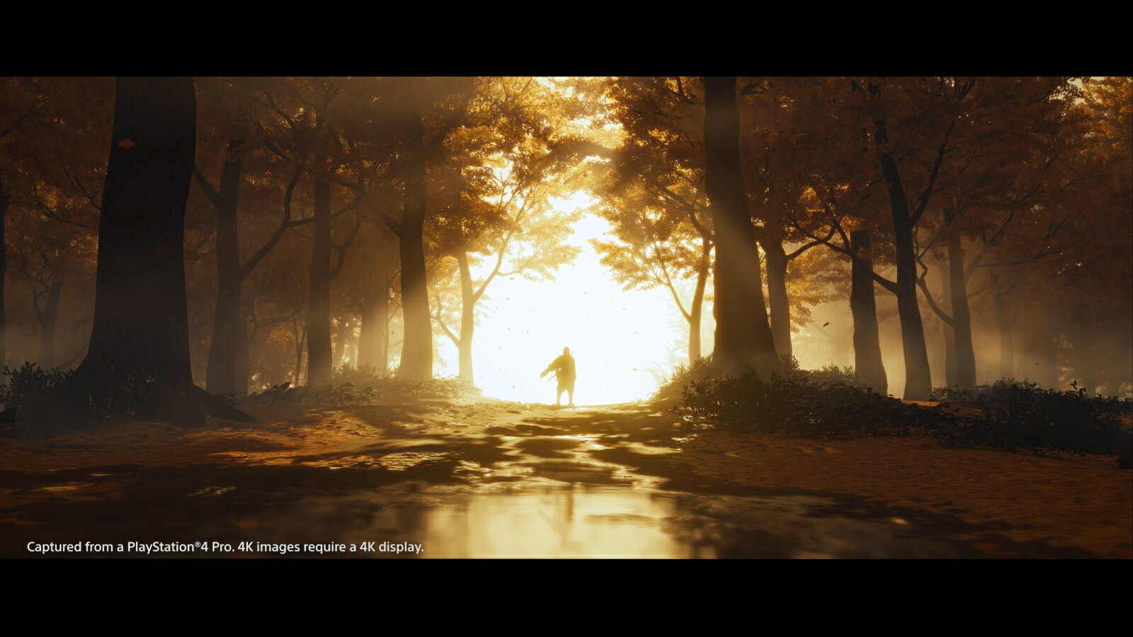 Ghost of Tsushima（ゴースト・オブ・ツシマ）/PS4/PCJS66070/【CEROレーティング「Z」（18歳以上のみ対象）】