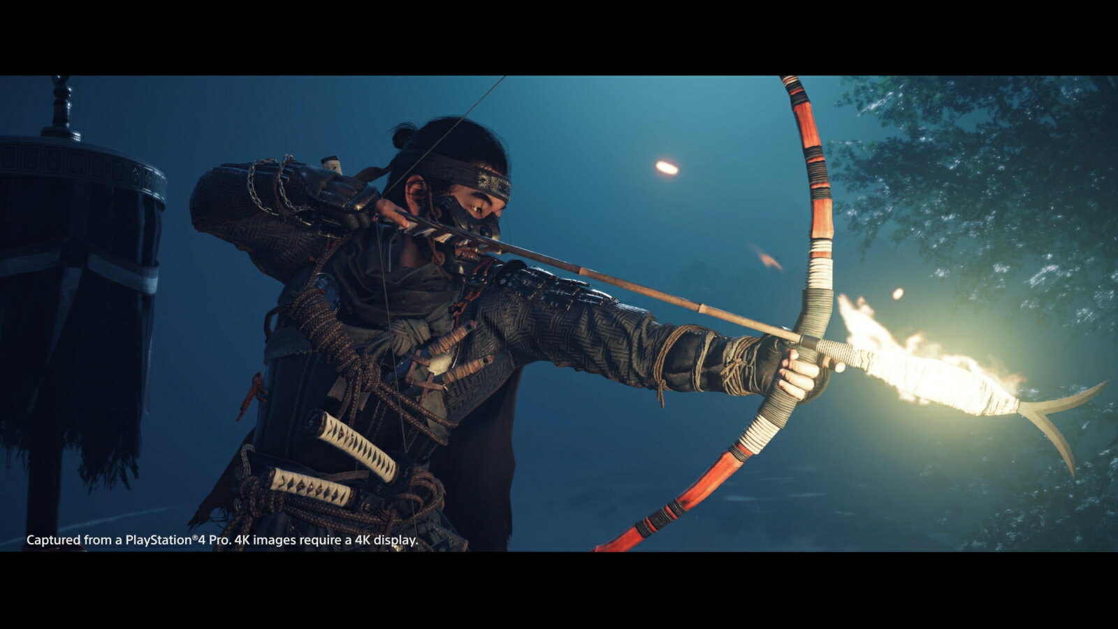 Ghost of Tsushima（ゴースト・オブ・ツシマ）/PS4/PCJS66070/【CEROレーティング「Z」（18歳以上のみ対象）】