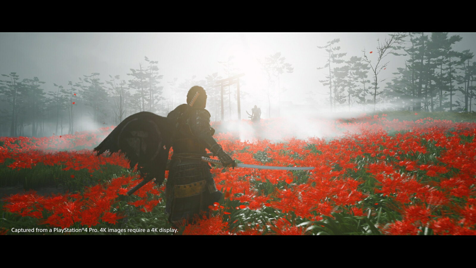 Ghost of Tsushima（ゴースト・オブ・ツシマ）/PS4/PCJS66070/【CEROレーティング「Z」（18歳以上のみ対象）】