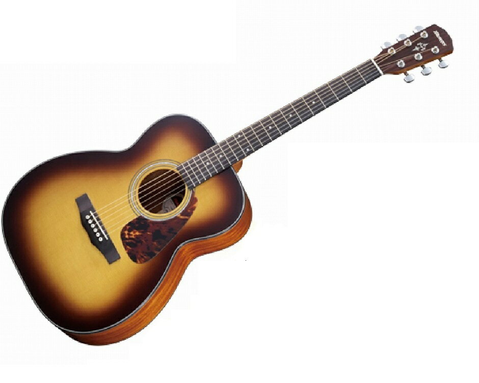 楽天市場】モリダイラ楽器 SE-102 MORRIS | 価格比較 - 商品価格ナビ