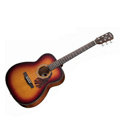 楽天市場】モリダイラ楽器 SE-102 MORRIS | 価格比較 - 商品価格ナビ