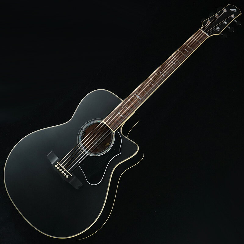 楽天市場】モリダイラ楽器 Morris モーリス アコースティックギター R-CUSTOM Mad Black | 価格比較 - 商品価格ナビ