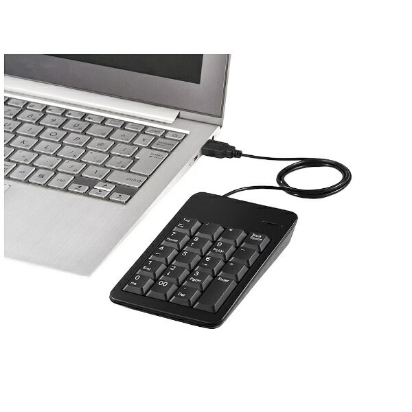 iBUFFALO 有線テンキーボード Tabキー付き BSTK100BK