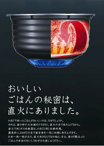 リンナイ ガス炊飯器 1.8L 2～10号 RR-100VQ DB プロパンガス LPG ダークブラウン RR100VQDB